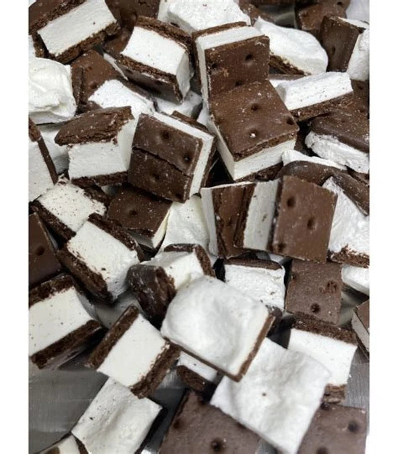 Ice Cream Sandwich Freeze Dried